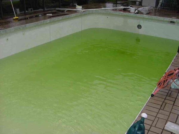 Blog Say Goodbye to Green Pool Water: Guide to Clean Pools